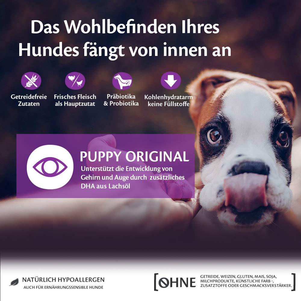 Wellness CORE Adult Ocean, Hundefutter trocken für gesunde Haut & glänzendes Fell & Puppy Original, Welpenfutter trocken für kleine & mittelgroße Welpen