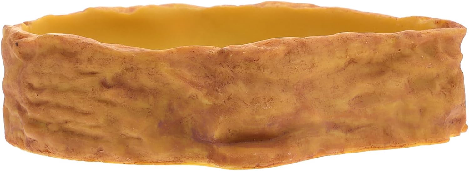 BESPORTBLE Reptile Feeding Bowl with Non-Spill Design Durable Water and Food Holder for Tortoises Lizards and Snakes Easy to Clean Deep Water Dish for Terrarium Use