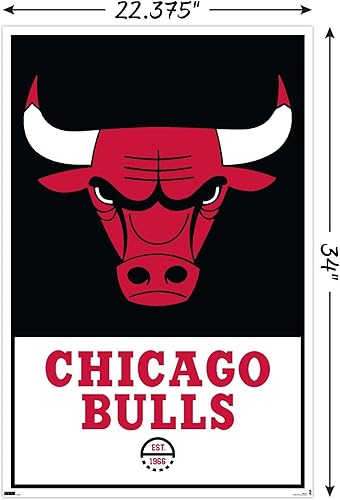 Miniatura 3 de Trends International NBA Chicago Bulls - Póster de pared con logotipo 21, 22.375 x 34 pulgadas, paquete de póster y montaje