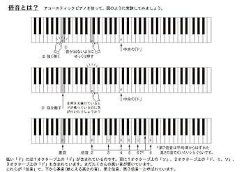 【良品】HAMMOND XK-1 専用純正ソフトケース、取り扱い説明書付き 良品】HAMMOND XK-1 専用純正ソフトケース、取り扱い説明書付き