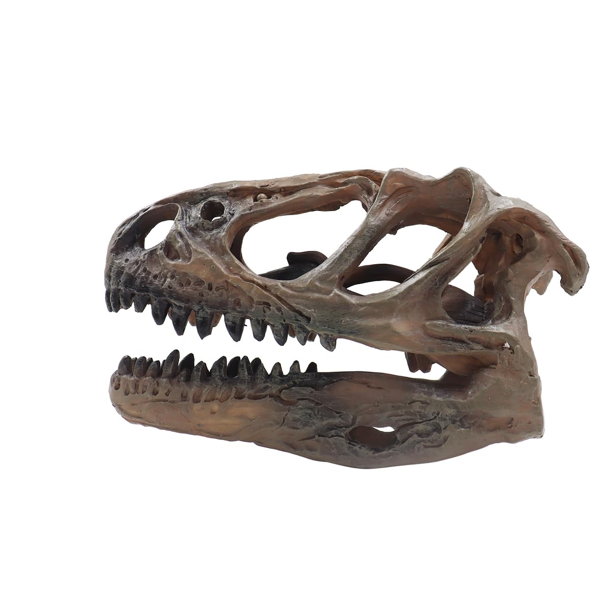 Ludom Crâne de Tyrannosaure en résine - Crâne de dinosaure pour cachette de poisson - Aquarium - Terrarium - Accessoires photo - Outil éducatif - Décoration d'intérieur
