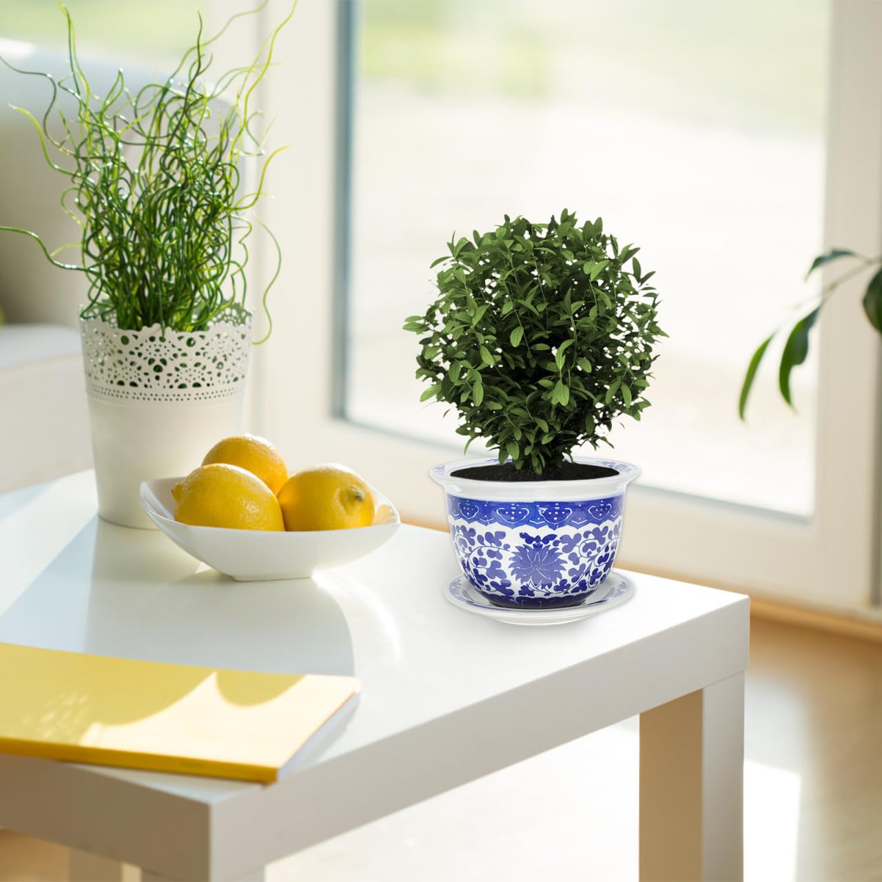 Cabilock Blau-weißer Blumentopf Aus Porzellan Kinderzimmer Blumenbehälter Kaktus-starttopf Töpfe Topf Für Schlangenpflanzen Orchidee Blumentopf Pflanzschale Haushalt Gang Büro Keramik