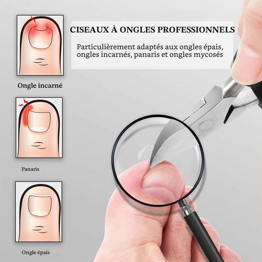 DAZISEN Précision Coupe Ongles - Acier Inoxydable Pince à Coupe Ongle Pied Coupe-ongles Professionnel Pince à Ongles pour Ongles Incarnés ou épai