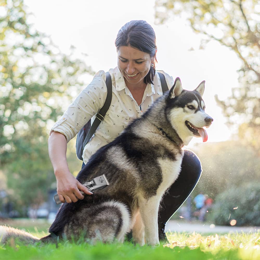 Pet Clipper, akumulatorowa maszynka do strzyżenia, maszynka do strzyżenia psów z zestawem do pielęgnacji psów, inteligentny wyświetlacz LCD, prędkości 5, odległości cięcia 4 (srebro)