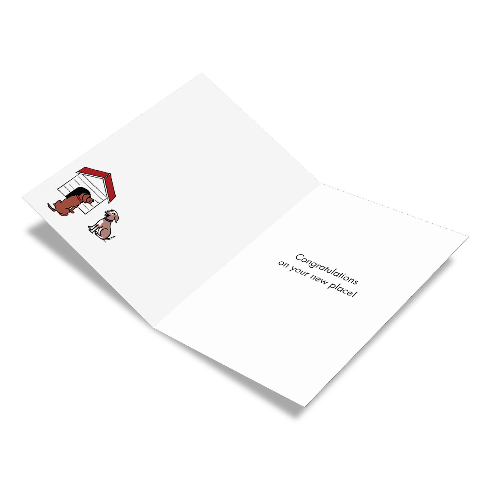 NobleWorks 10 Lustige Tier-Notizkarten – Blanko Innen, Mit Umschlägen, 12,7x17,8 Cm – In Aufbewahrungsbox