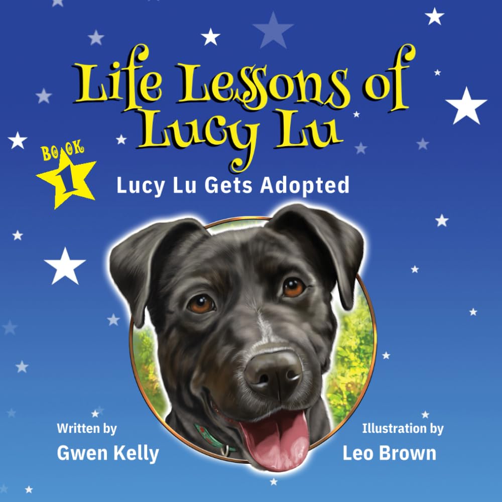 Life Lessons of Lucy Lu: Book 1 - Lucy Lu Gets Adopted