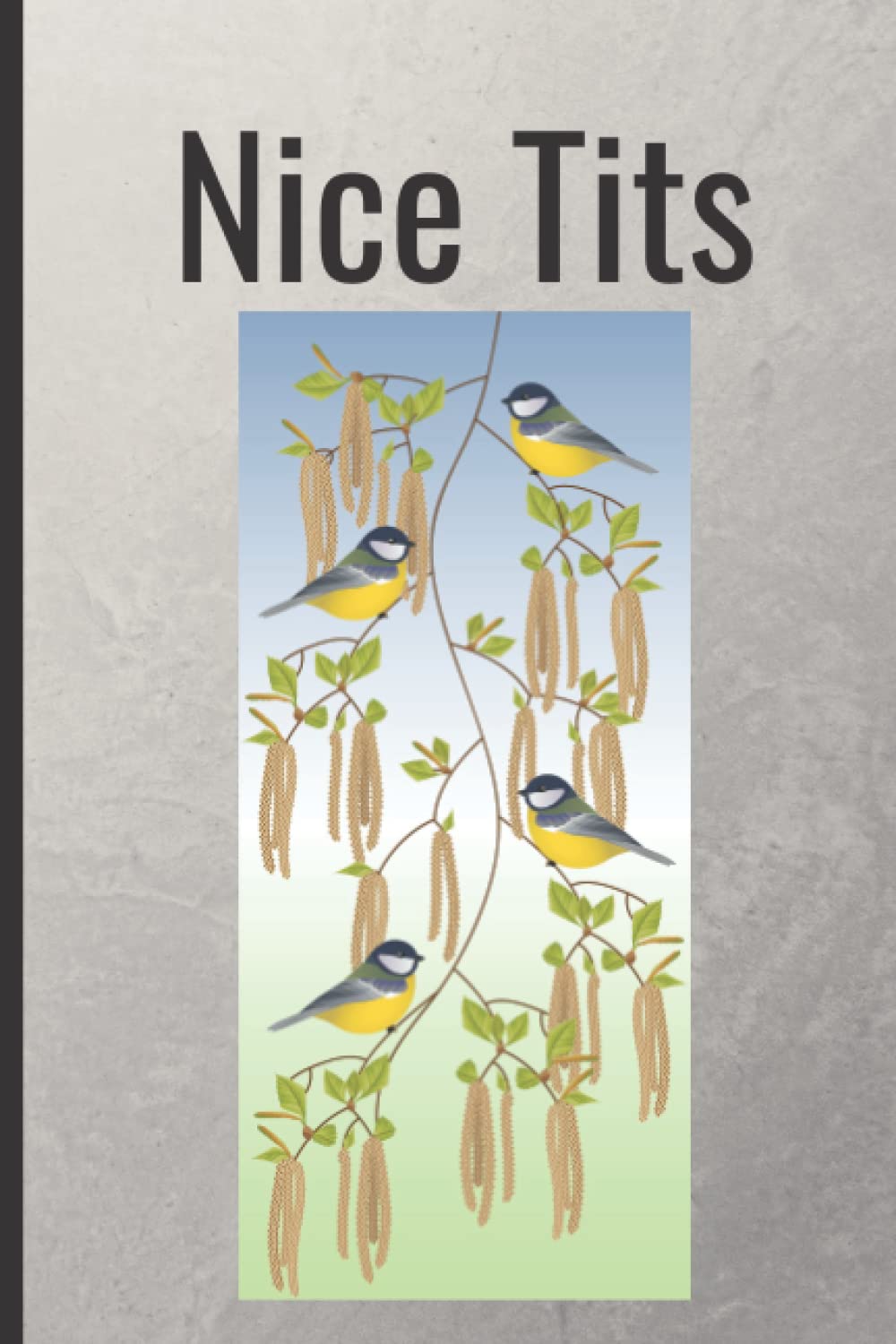 Nice Tits Notebook, notepad, journal or diary. 6x9 inches. 120 pages novelty fun notebook.