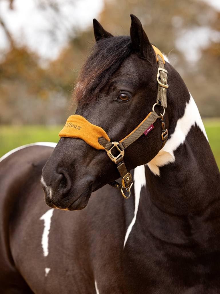 LeMieux Vogue Halter - Fleece Lining - Coordinating Leadrope for Horse Tack - Durable Nylon Webbing - Adjustable Points - Double Pin Buckle - Machine Washable and Easy to Care for - Ember