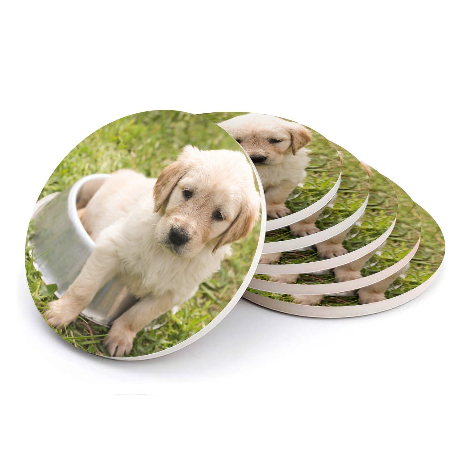 Dessous de verre céramique chien labrador blanc lot de 6 petits supports de verre ronds