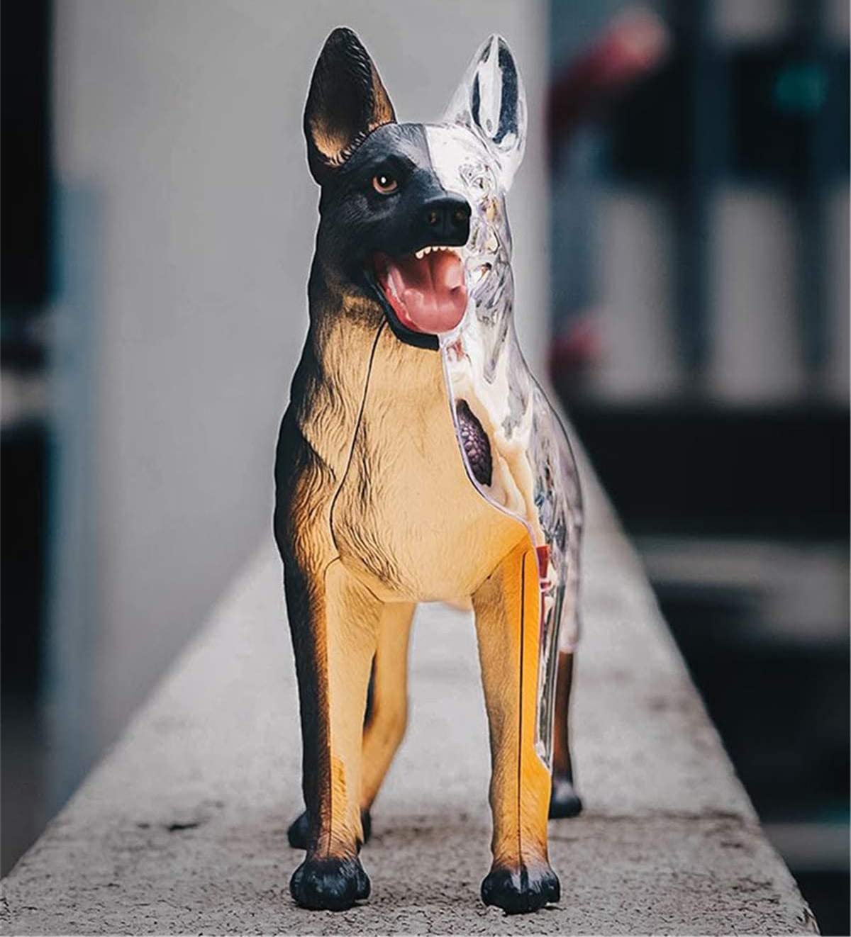 Modello di Anatomia del Cane Lupo Biologia Organo Simulazione Animale Insegnamento Medico Staccabile 29 Parti Modello Anatomico Animale Puzzle Educativo Fai da Te