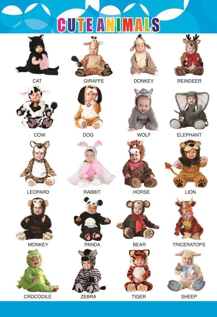 Eoi Marketing Cute Animal Wall Charts - Extremely Usefull For Growing Kids | Laminated Chart |Paper Size (13 * 19 Inch) | Paper Print (Rolled With Safety Tube)-picture-19