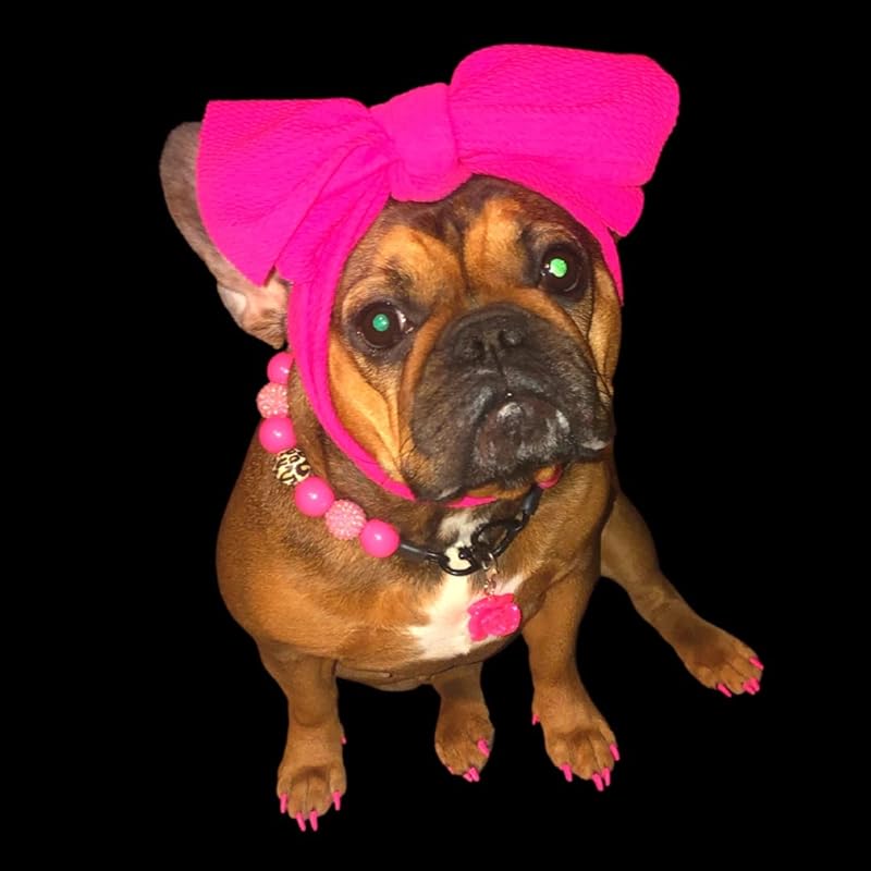 Purina Pro Plan Sensitive Skin and Stomach Dog Food Dry, Adult Salmon & Rice Formula, Digestive Health - 30 lb. Bag : Pet Supplies Review Image