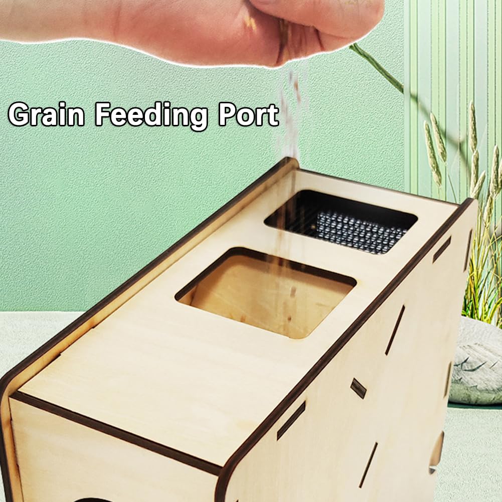 Machine de nettoyage des grains, machine de soufflage de grains en bois pour oiseaux avec tiroir, séparateur de coquille soufflée pour aliments pour oiseaux pour millet, céréales diverses, graines