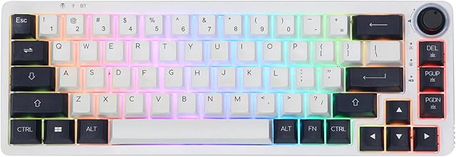 EPOMAKER Theory TH68 65% 68 Keys RGB Hot Swappable Programmable Bluetooth 5.0/2.4Ghz Wireless/USB-C Wired Triple Modes Mechanical Gaming Keyboard with Rotary Knob for Win/Mac