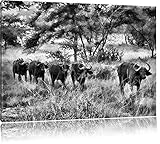 Leinwandbilder sind eine wunderschöne Möglichkeit Ihre Wohnräume zu gestalten. Verschönern Sie Ihr Wohnzimmer, Schlafzimmer, Kinderzimmer, Küche, Flur, Arbeitszimmer oder Büro und gestalten sie sich Ihr persönliches Wohlfühlambiente. Und für das geschäftliche Ambiente, wie zum Beispiel in Hotelzimmern oder Gewerberäume, sind unsere Deko-Bilder auch bestens geeignet und beeindrucken so Ihre Kunden.