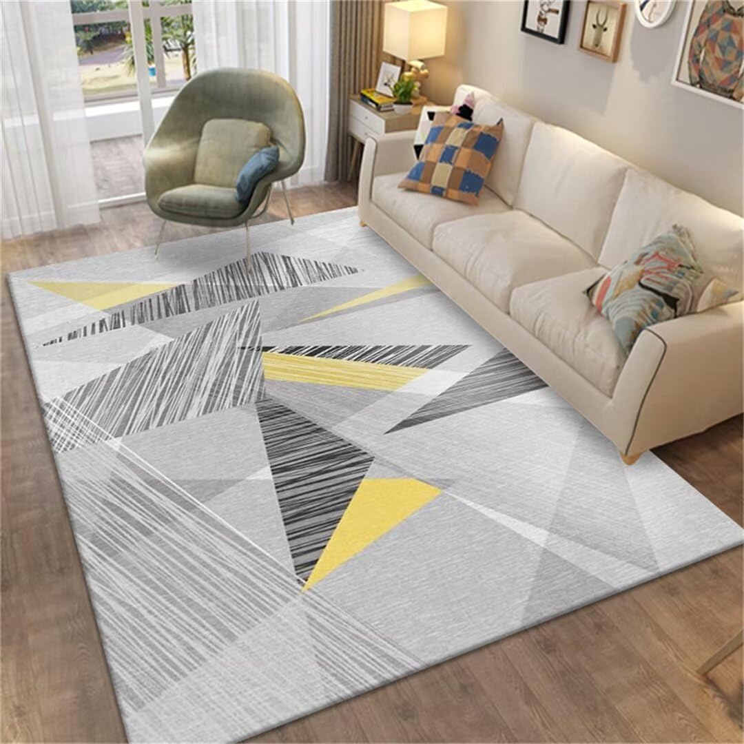 Tapis de chambre doux gris 160x230cm pour éliminer la résonance du salon