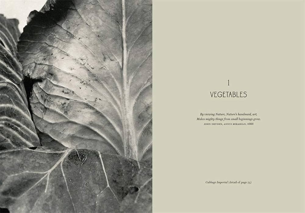 PLANTWORLDS アンドレア・ジョーンズ 植物写真集 洋書 PLANTWORLDS アンドレア・ジョーンズ 植物写真集 洋書