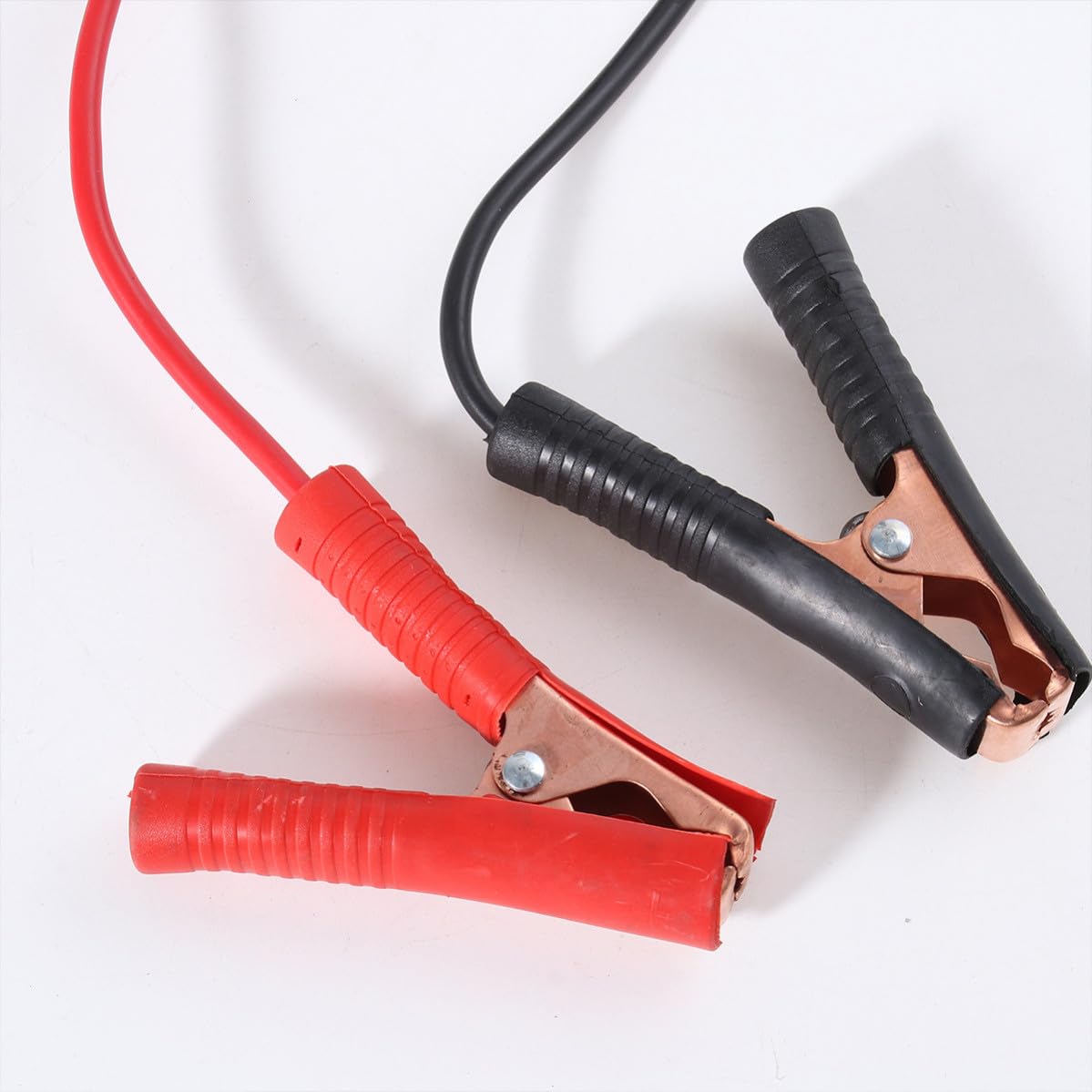 Caricabatteria 24v 15a 12v Intelligente per Veicoli a Due Ruote