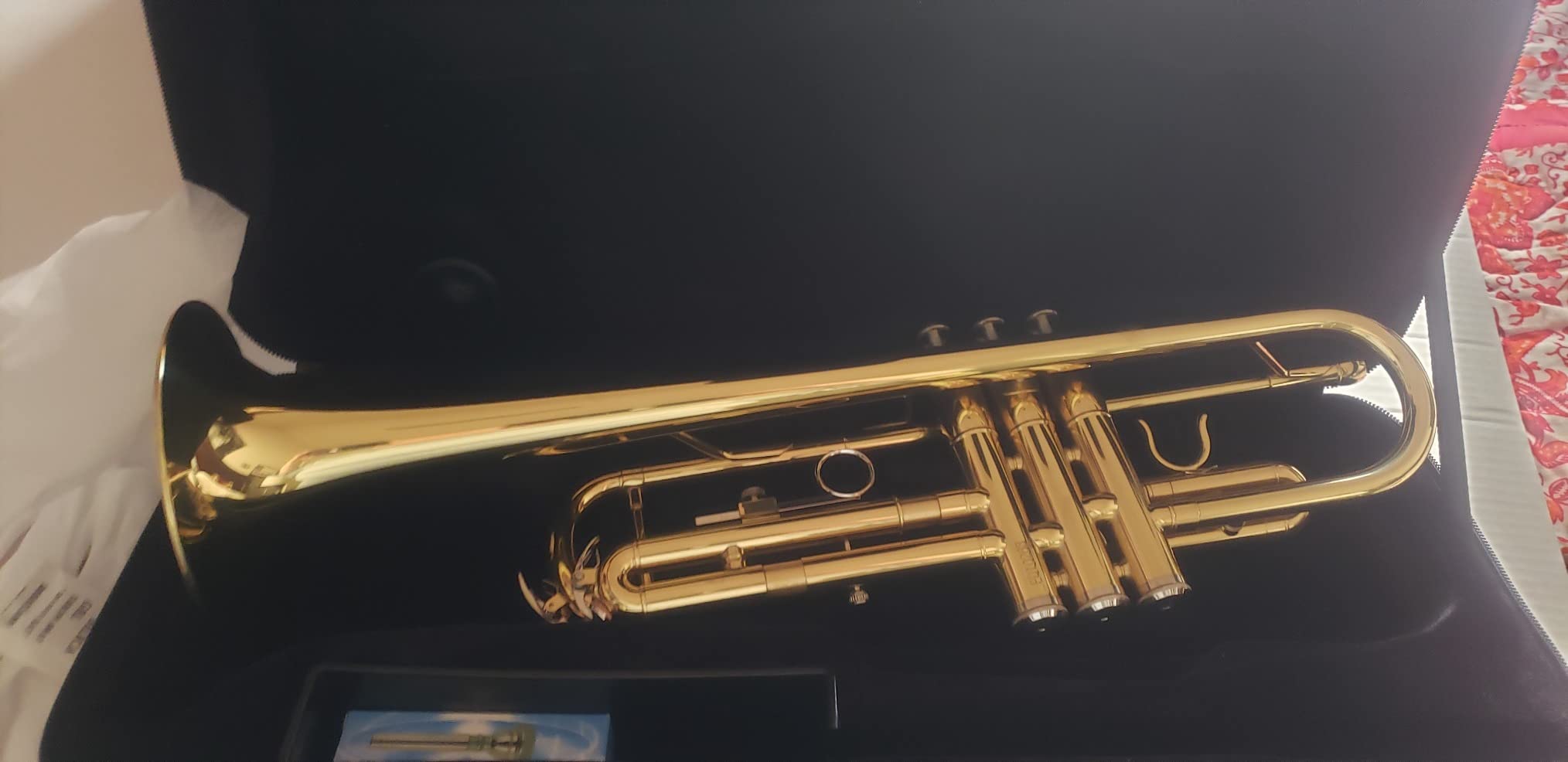 23/mo Finance Dleisis Bb Standard Trumpets for Beginner or Advanced