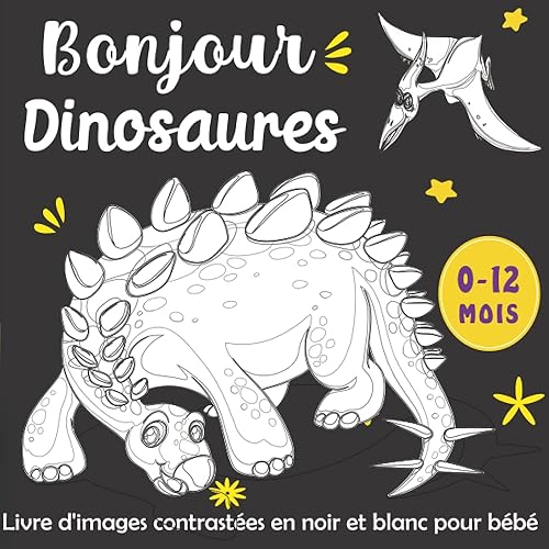 Bonjour Dinosaures -Livre d'images contrastées en noir et blanc pour bébé Education Sensorielle pour Les Bébés de 0 à 12 Mois -Les Tout Petits