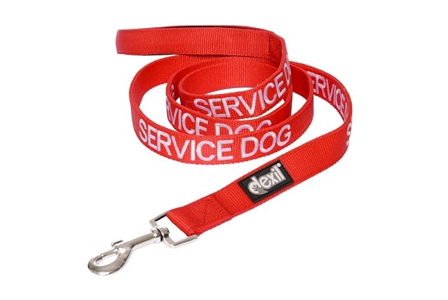 Service Dog - Correa Acolchada para Perro (120 cm, 180 cm), Color Rojo