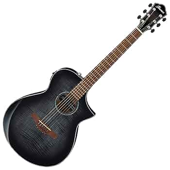 ギター Ibanez AEWC400-TKS 61IOBlw3PsL._UF350,350_QL50_.jpg