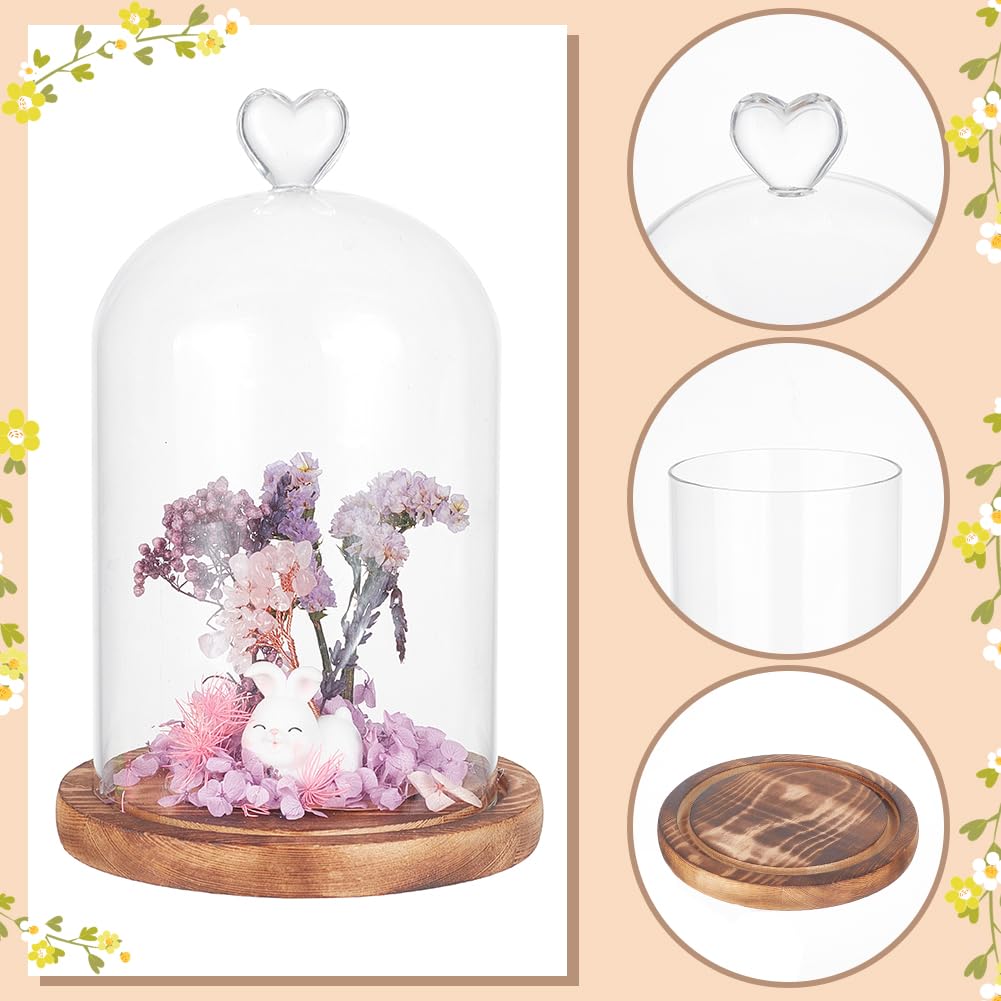 NBEADS Cúpula de Cristal En Forma de Corazón, Terrario de Tarro de Campana Cloche de 22cm de Largo con Base de Madera para Decoración de Escritorio de Velas Aromáticas, Claro