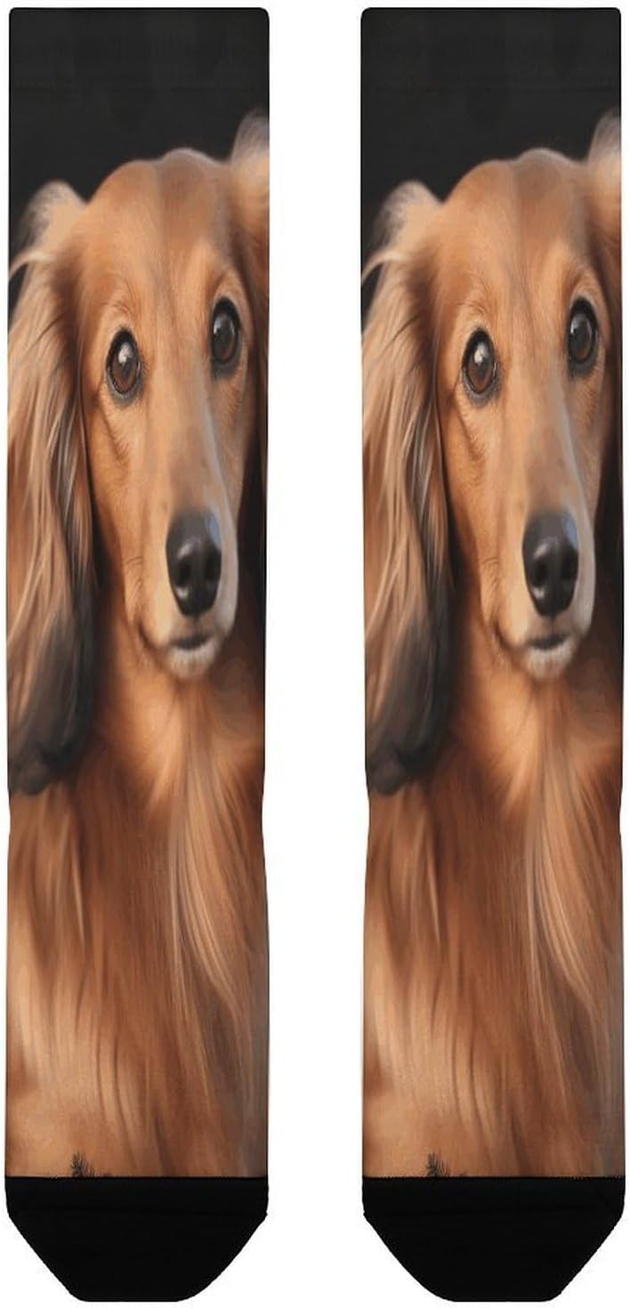 Long Haired Dachshund Compression Sock Circulation Support Socks Lightweight Knee High Tube Sock Over-The-Calf Sock for Adult