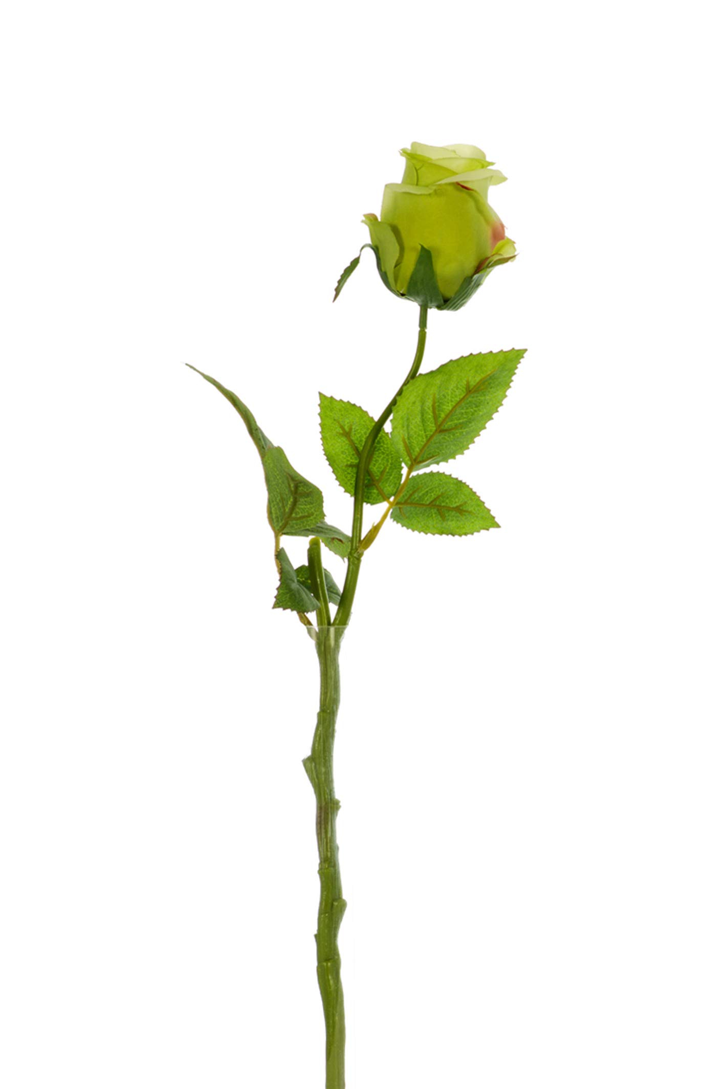 Express Flor 4 Artificial Silk Closed Roses, 42 cm, Green