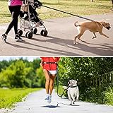 Philorn Freihand Hundeleine 120 Bis 170 cm mit Gürteltasche, Joggingleine Hunde, Freihandleine | Reflektierend zu 55KG, Verstellbare Taillengürtel, Doppelgriff-Bungees für Laufen, Gehen