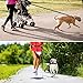 Philorn Freihand Hundeleine 120 Bis 170 cm mit Gürteltasche, Joggingleine Hunde, Freihandleine | Reflektierend zu 55KG, Verstellbare Taillengürtel, Doppelgriff-Bungees für Laufen, Gehen