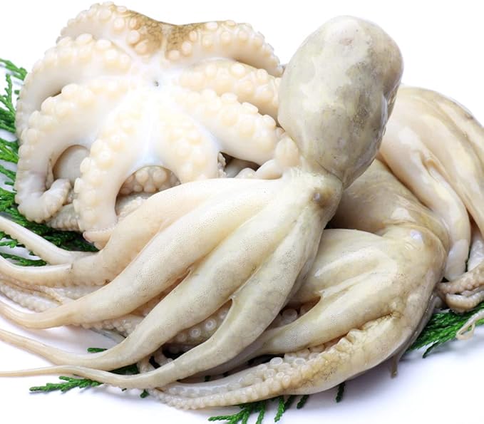 Amazon どれでも5品で送料無料 イイダコ 下処理済みで便利 タコの唐揚げ 煮物 天ぷら たこめし 何にでも使えて便利 バラ凍結 冷凍 Cool 2kg ノーブランド品 鮮魚 通販