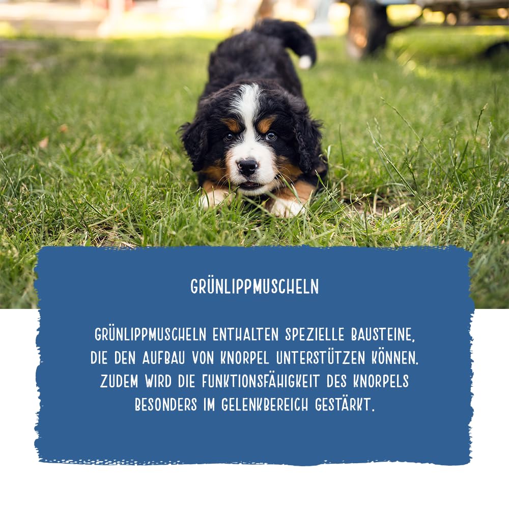Chicopee CNL Maxi Puppy Poultry & Millet