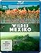 Produktbild Wildes Mexiko (BBC Earth) [Blu-ray]