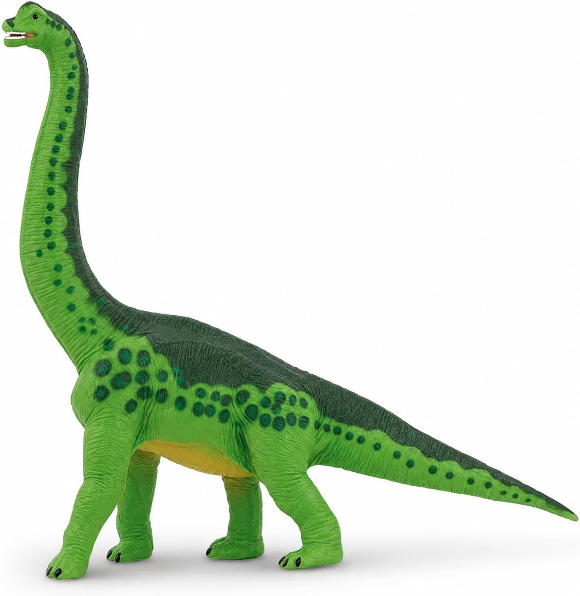 Safari Ltd. Brachiosaurus Figurine - Detailed 9" Dinosaur Figure - Educational Toy for Boys, Girls, and Kids Ages 3+