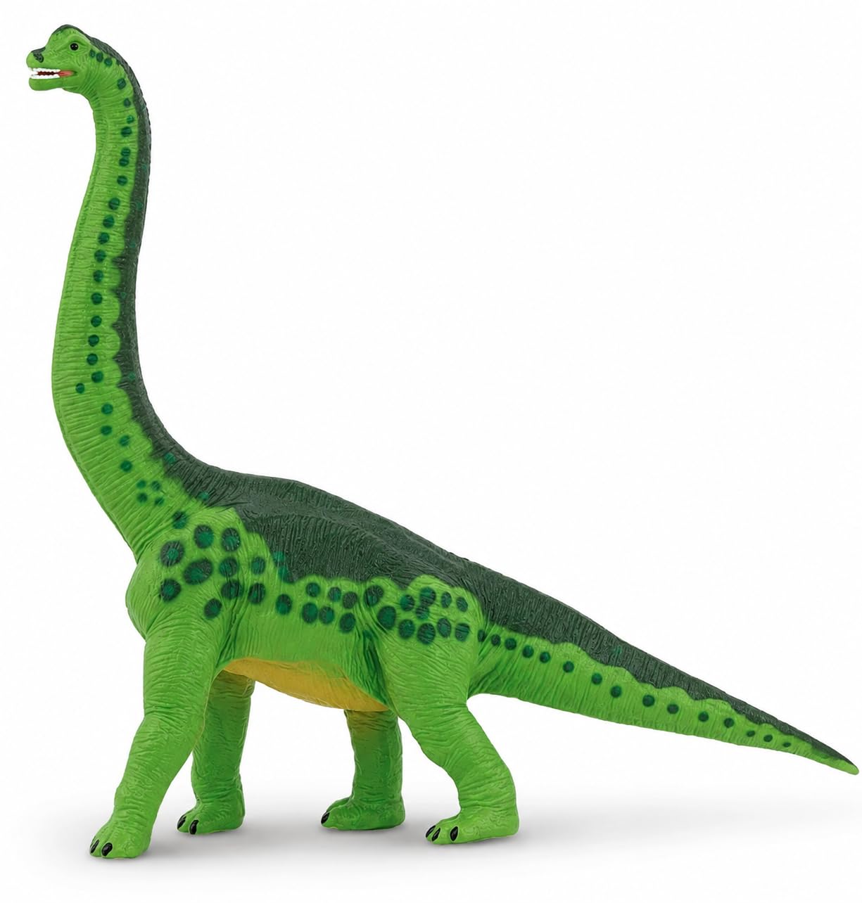 Brachiosaurus Toy - 9 Inch Realistic Dinosaur Figure for Kids | 9 Inches Long x 8 Inches Tall, Ages 3+, Safety Tested, BPA Free PVC, Dinosaur Play, Cake Toppers, Paleontology Study