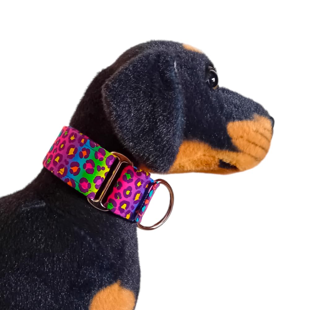 Collar Martingale/Correa/Cinturon Seguridad RAINBOW ANIMAL para Perro Galgo Greyhound - Hecho a Mano en España
