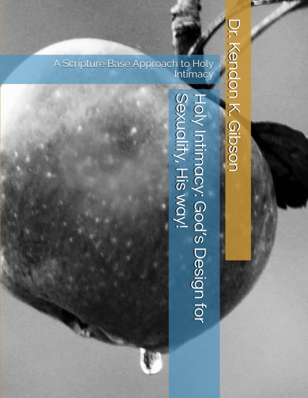 Holy Intimacy: God’s Design for Sexuality, His way!: A Scripture Base Approach to Holy Intimacy