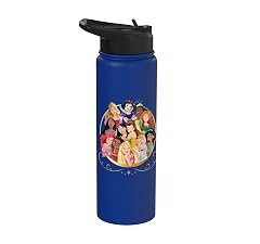 Disney Princess Royal Friends Group Stainless Steel Insulated Water Bottle