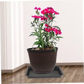 確認◡̈*.。お椀♡長方形プレート♡オーダー受け付け オーダーメイド椀（名入れ加工） | なちや 販売（漆器）｜京