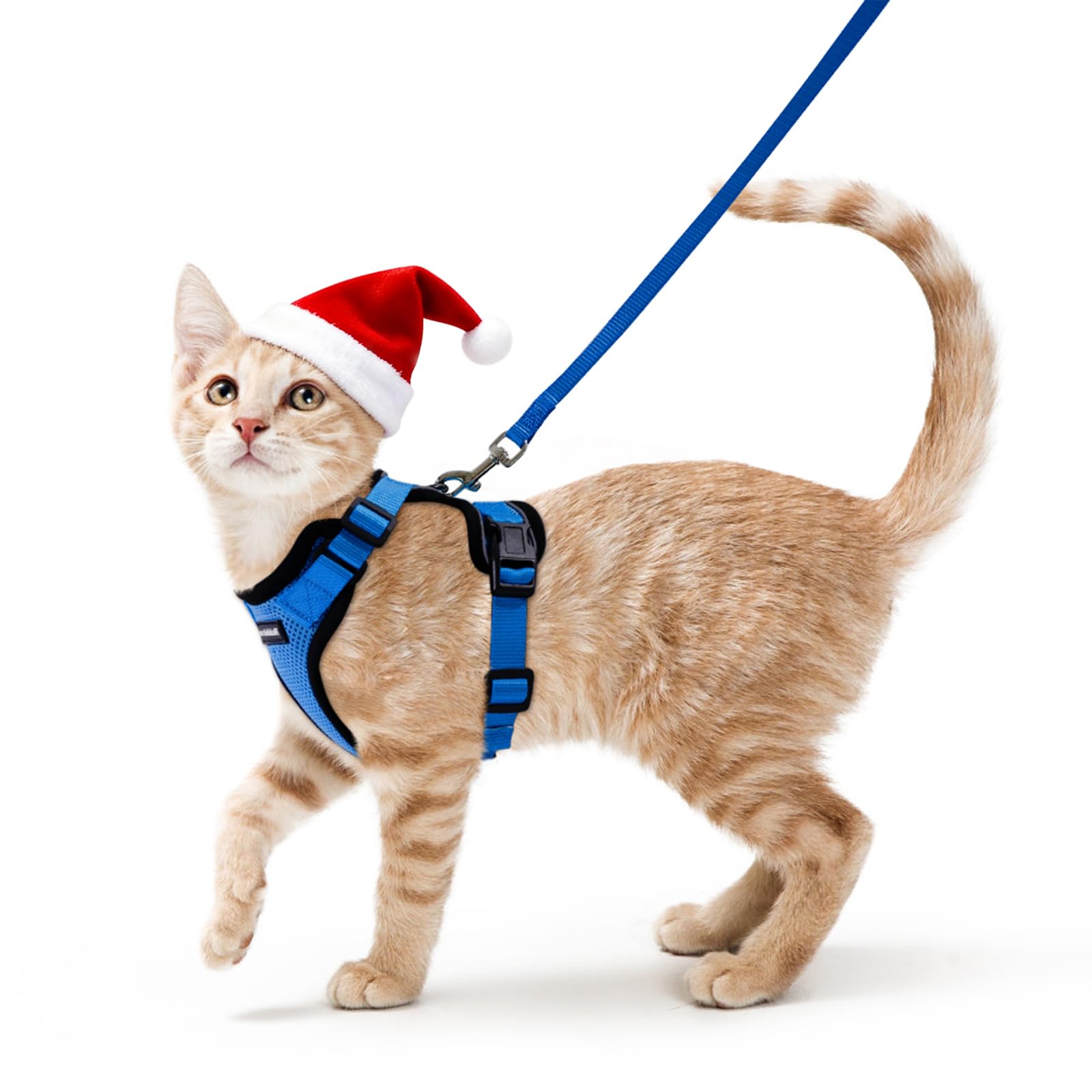 Rabbitgoo Cat Harness and Leash Set, Escape-Proof, Soft and Lightweight, Suitable for Both Cats and Dogs, for Extra Small and Small Dogs, for Walking and Disaster Evacuation, Harness and Lead, Easy to