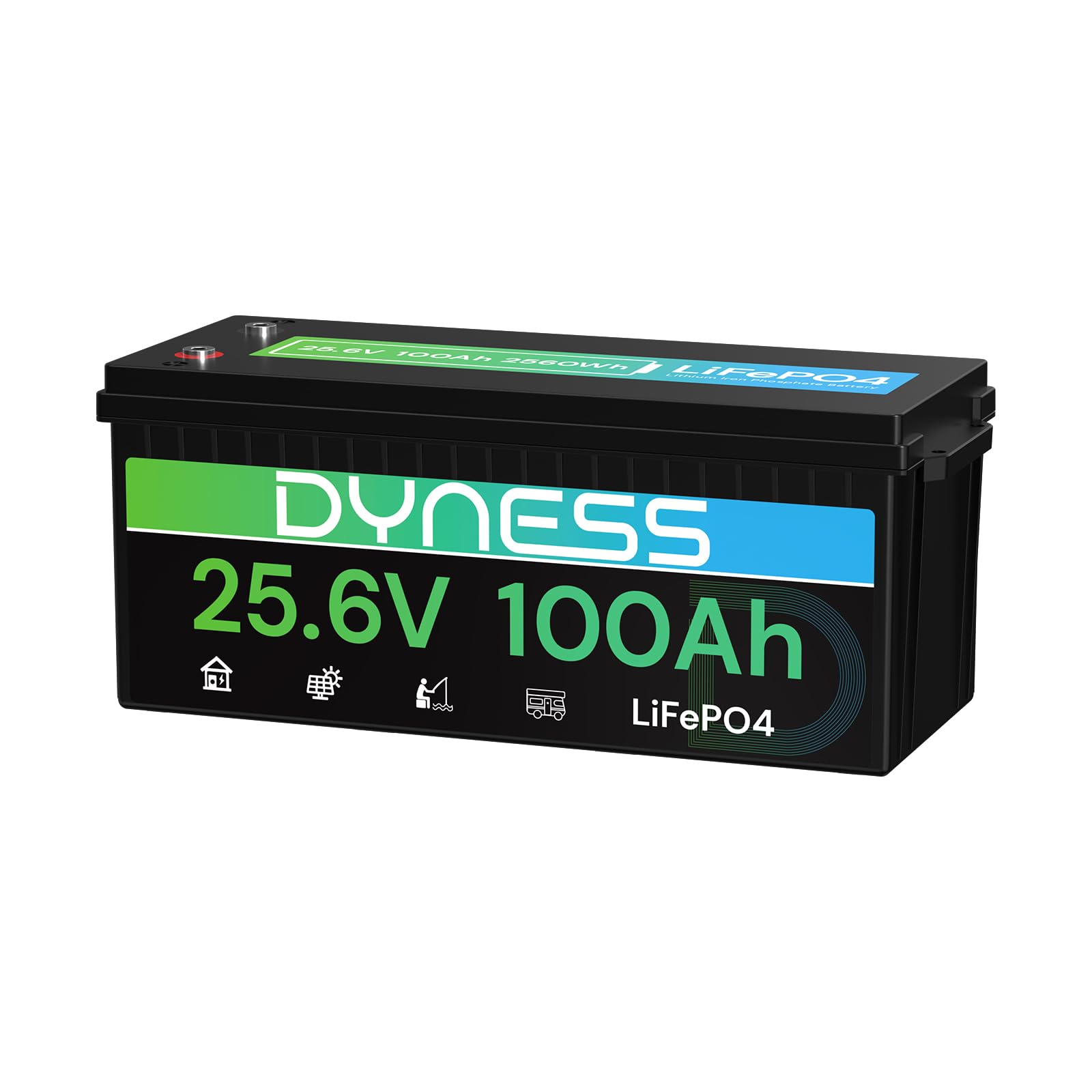 Dyness 24V 100Ah LiFePO4 Lithium Batterie mit Integriertem 100A BMS, ideal für 24V Trolling-Motoren(Bassboote), Wohnmobile und netzunabhängige Anwendungen