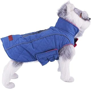dog jackets amazon