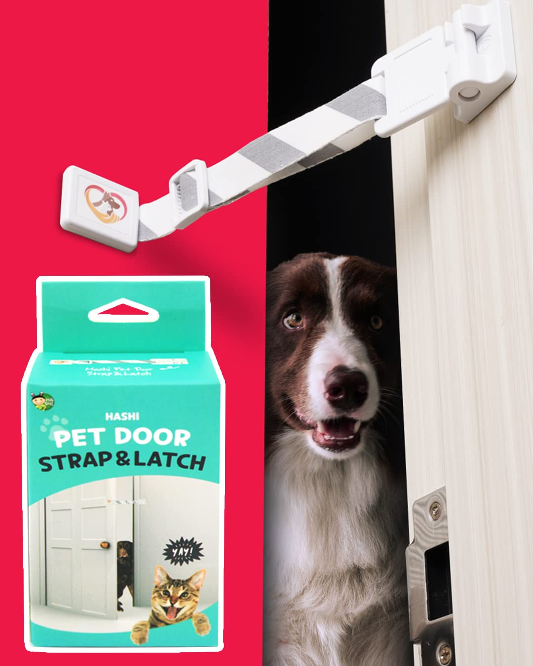 How To Keep Animals Out Of Your Dog Door