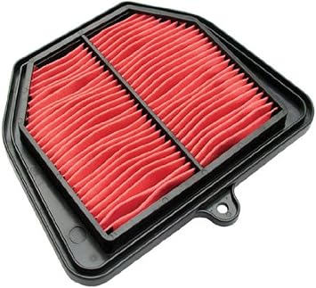 Hiflofiltro HFA4917 Premium OE Replacement Air Filter, Black