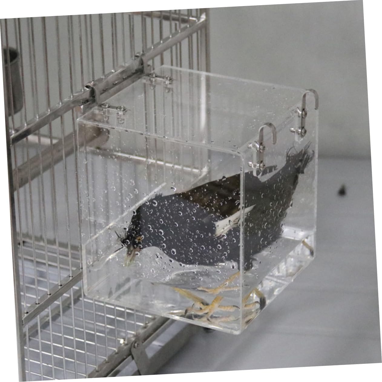 Thickened Acrylic Bathtub for Birds Easy to Clean Bird Bath Basin Hanging Feature