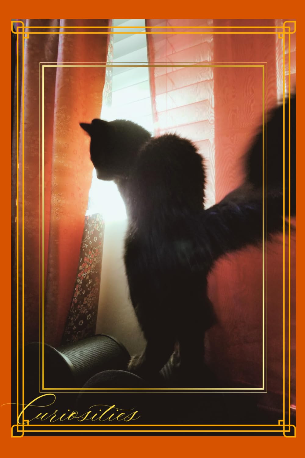 Curiosities: Journal