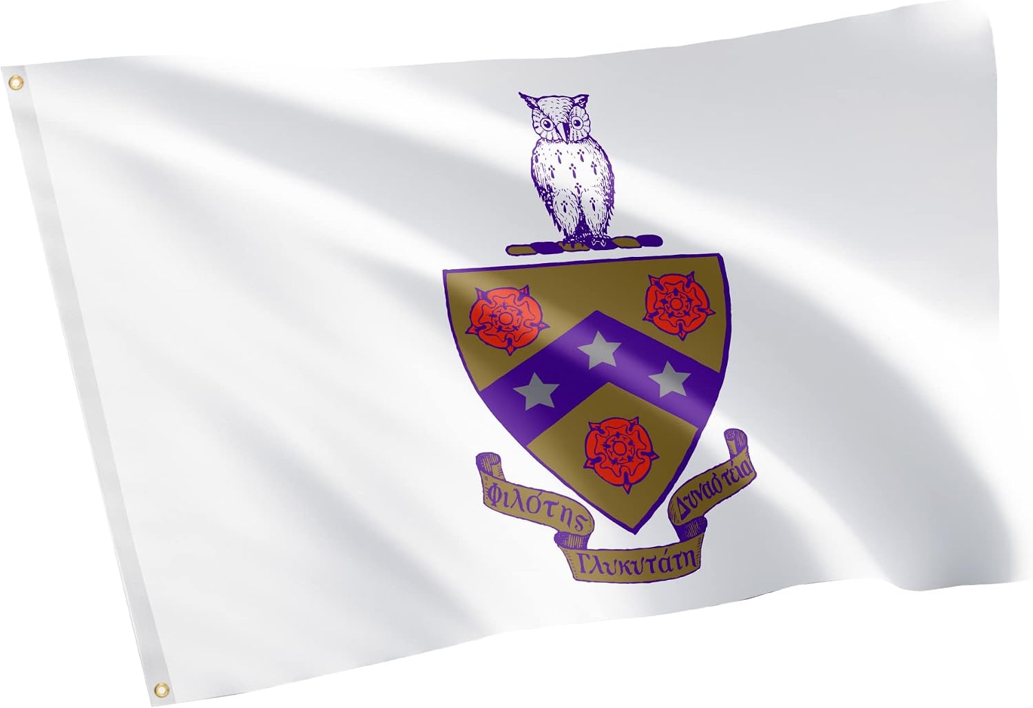 Desert Cactus Phi Gamma Delta Flag Fiji Fraternity Crest Greek Letter Use as a Banner Large 3x5 feet