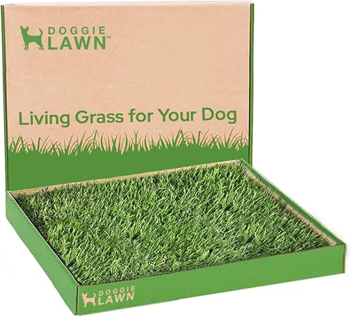 DoggieLawn Real Grass Puppy Pee Pads- 24 x 20 Inches - Perfect Indoor Litter Box for Dogs - No Mess, Easy-to-Use - Potty Training for Pets - Eco-Friendly Disposable Bathroom with Real Living Grass
