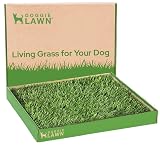 DoggieLawn Real Grass Puppy Pee Pads- 24 x 20 Inches - Perfect Indoor Litter Box for Dogs - No Mess,